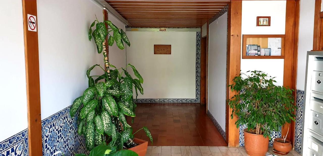 Sunny Setubal Apartments Zewnętrze zdjęcie